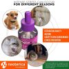 Calming Cat Diffuser Refill 6 Pcs Anti Anxiety Pet Products Feline Calm Pheromones Cats Comfort Stress Relief Help with Pee New Zone Aggression Fighti